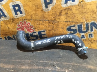 Продажа патрубок радиатора на SUBARU IMPREZA GH2    -  
				верх wh0210